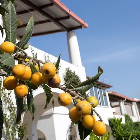 Mendolita Aparthotel